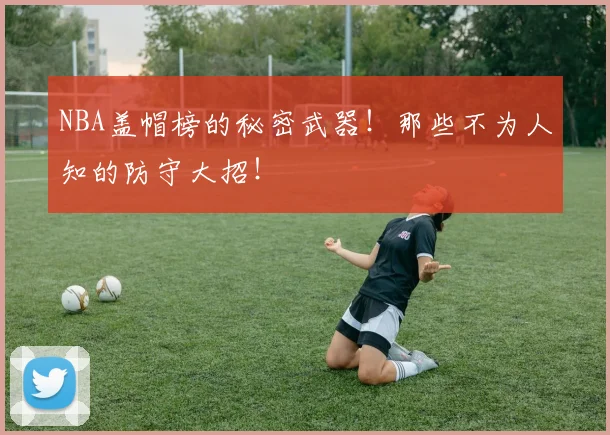 NBA盖帽榜的秘密武器!那些不为人知的防守大招!