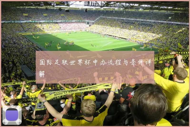 国际足联世界杯申办流程与条件详解