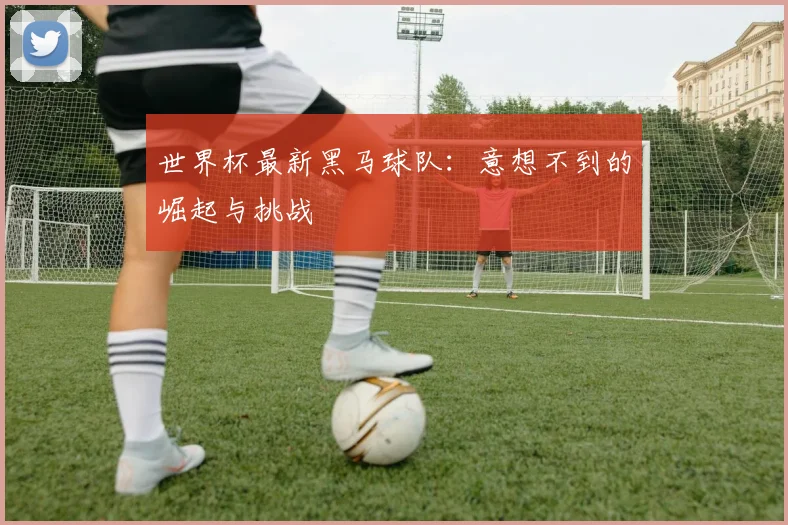 世界杯最新黑马球队：意想不到的崛起与挑战